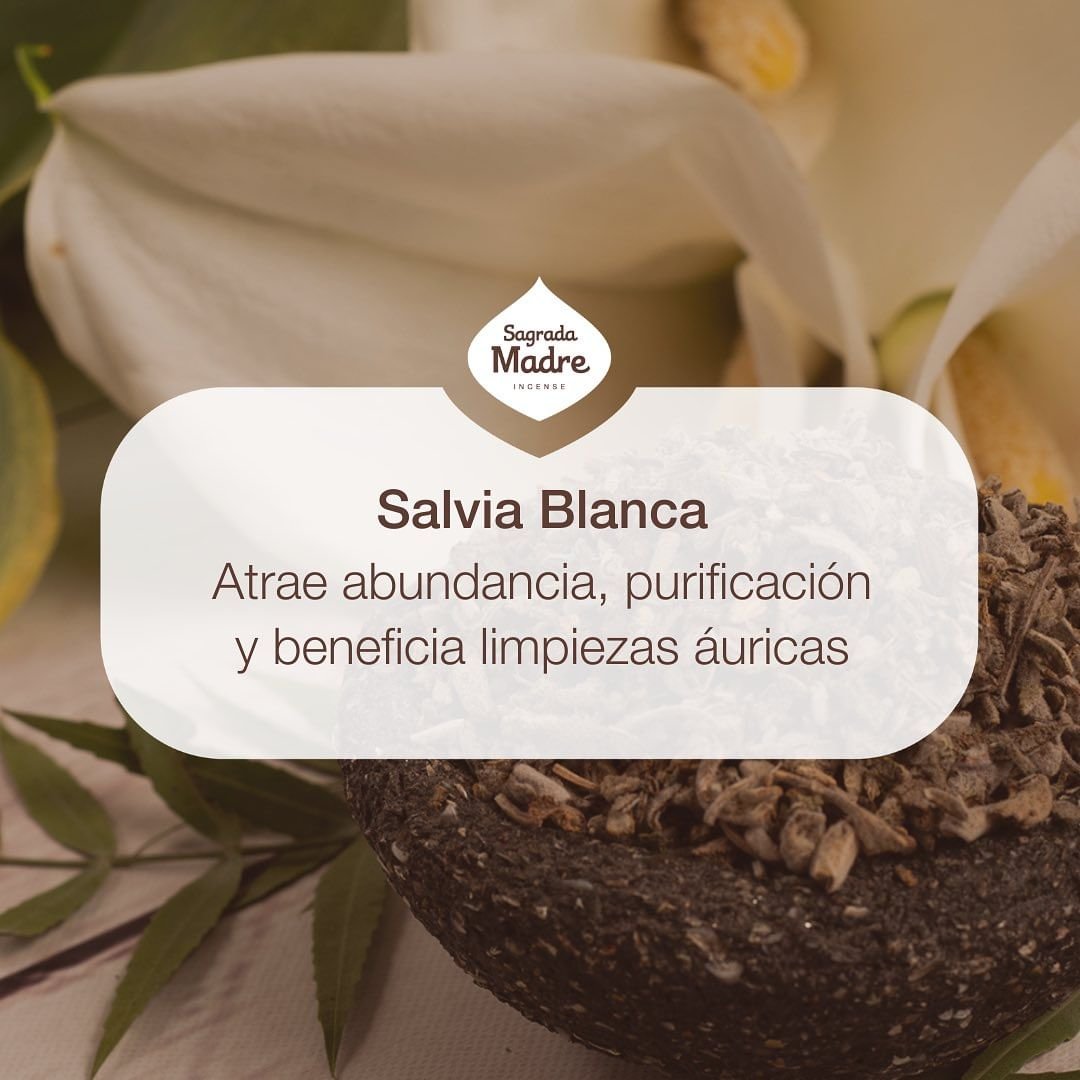 Sagrada Madre - Línea Hierbas