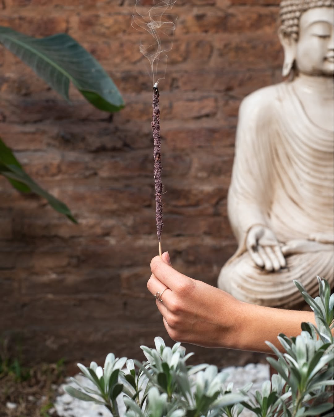 MS Sahumerio Blend Masala - MAHA